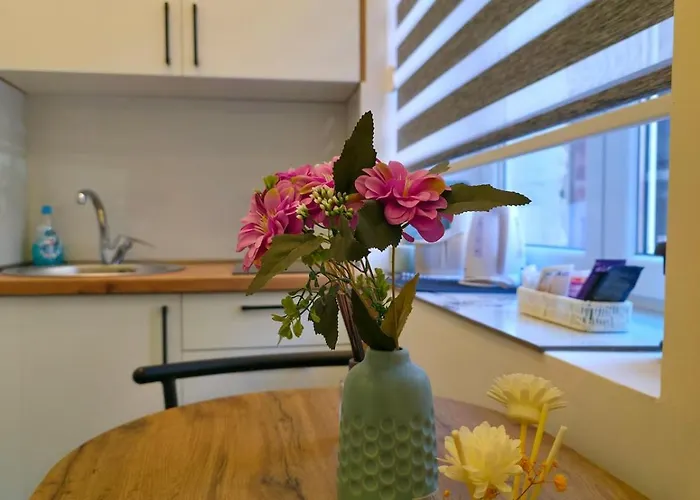 Blue Panda With Style * Saraievo